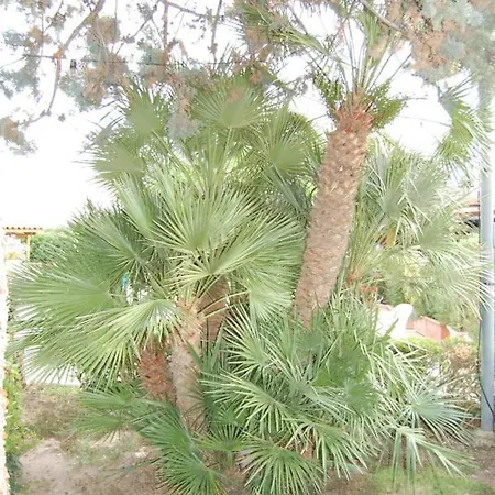 Latorraca Гостевой дом