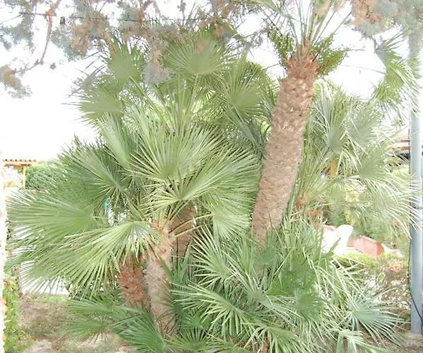 Latorraca Affittacamere